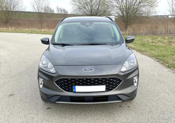 Ford Kuga cena 98300 przebieg: 31000, rok produkcji 2020 z Wołomin małe 67